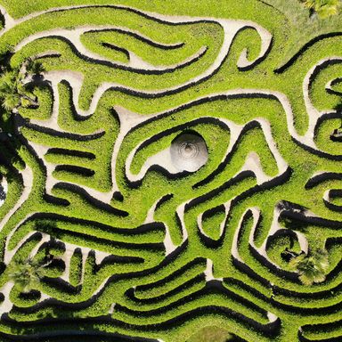 image psychanalyse source unsplash